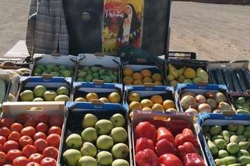 Romería de La Viña 2019 (Foto TA)